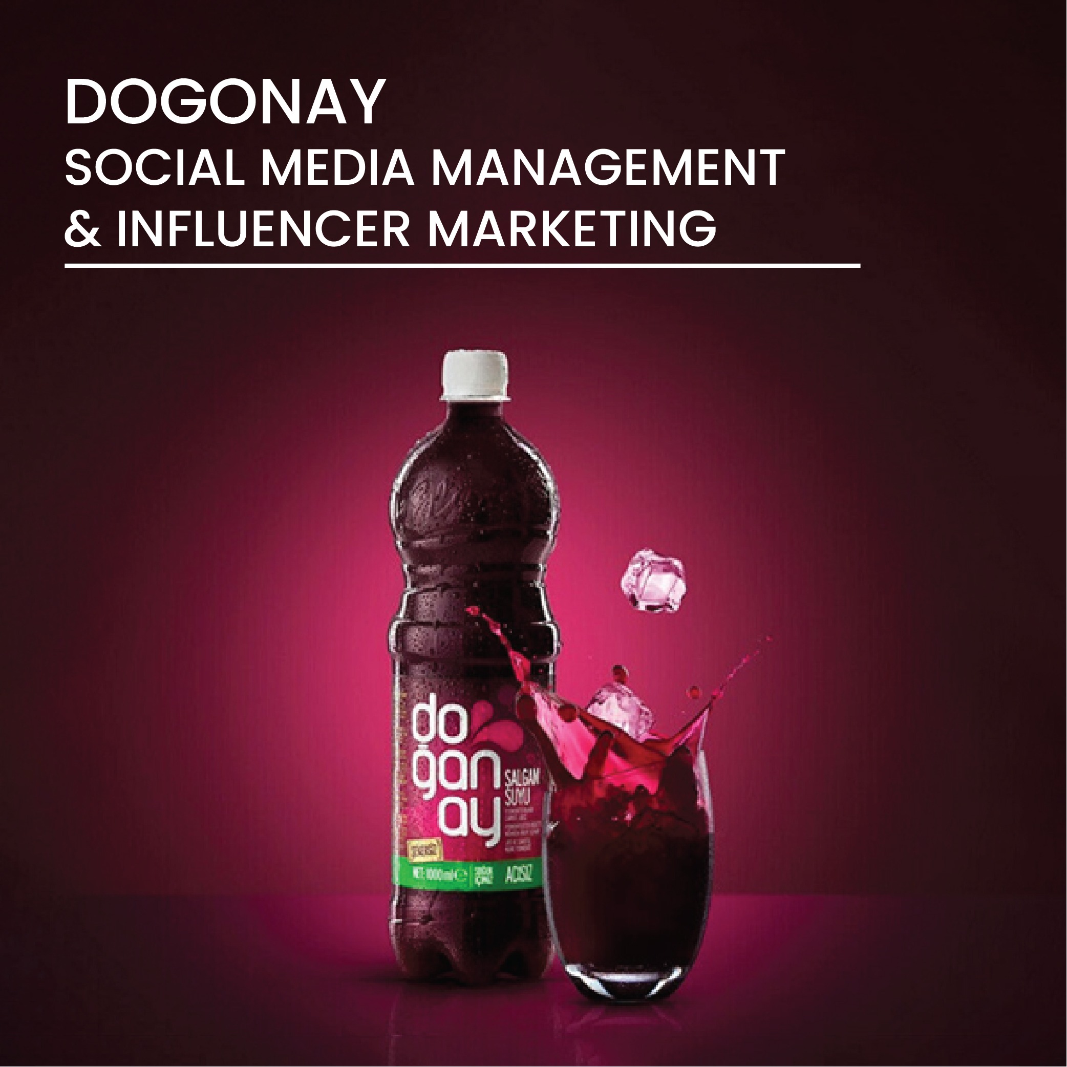 <a href="https://creativemediahouse.ae/cmh-case-studies/dogonay-product-launch-marketing/"> DOGONAY → </a>