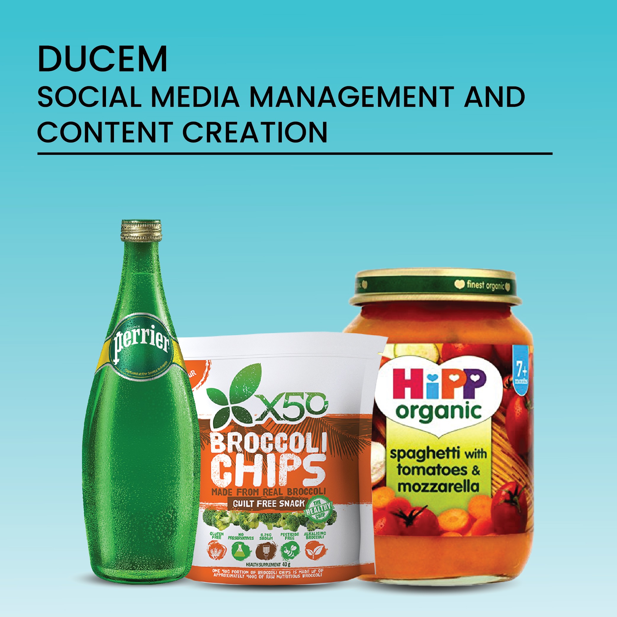 <a href="https://creativemediahouse.ae/cmh-case-studies/ducem-social-media-marketing/"> DUCEM  → </a>